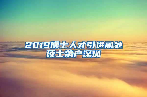 2019博士人才引进副处硕士落户深圳