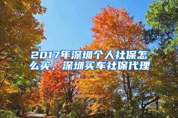 2017年深圳个人社保怎么买，深圳买车社保代理