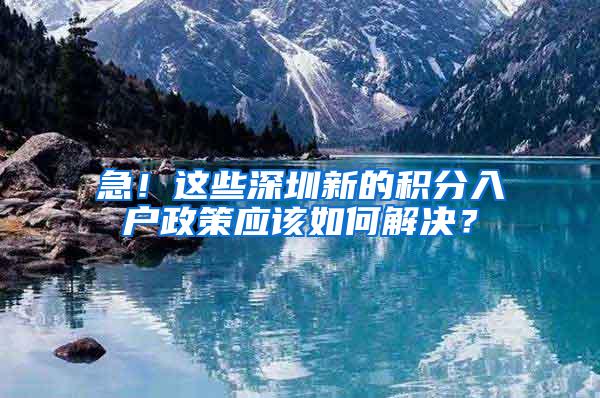 急！这些深圳新的积分入户政策应该如何解决？