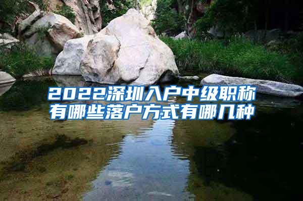 2022深圳入户中级职称有哪些落户方式有哪几种