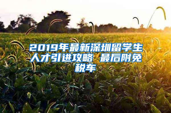 2019年最新深圳留学生人才引进攻略 最后附免税车