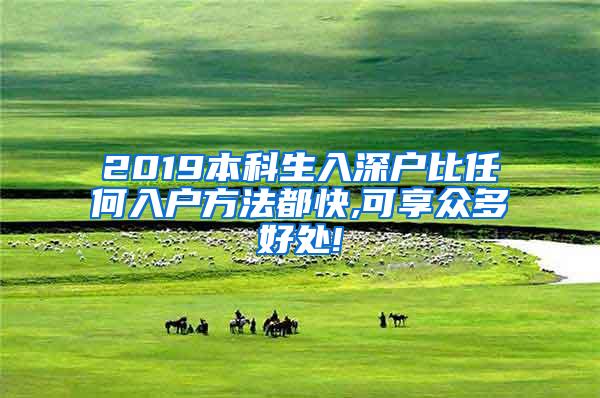 2019本科生入深户比任何入户方法都快,可享众多好处!