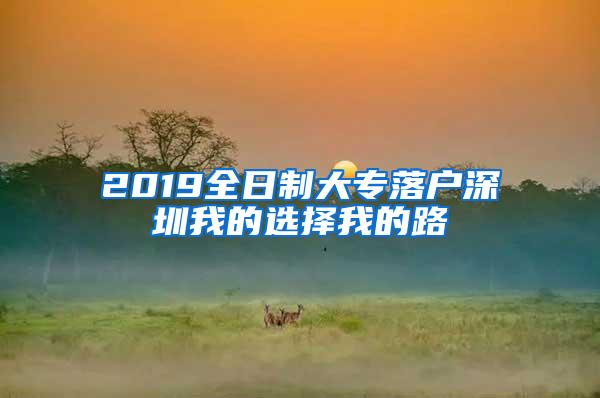 2019全日制大专落户深圳我的选择我的路