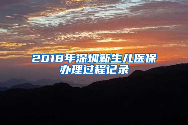 2018年深圳新生儿医保办理过程记录