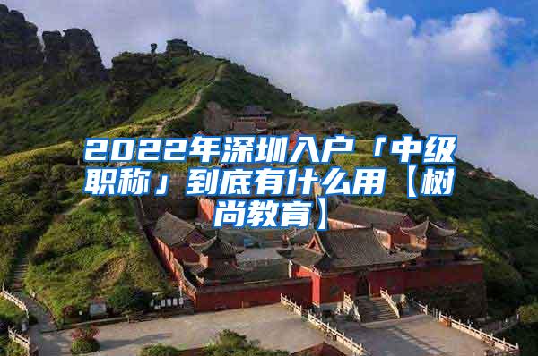 2022年深圳入户「中级职称」到底有什么用【树尚教育】