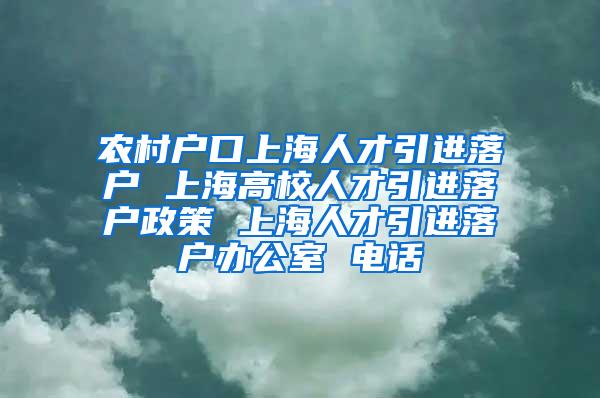 农村户口上海人才引进落户 上海高校人才引进落户政策 上海人才引进落户办公室 电话