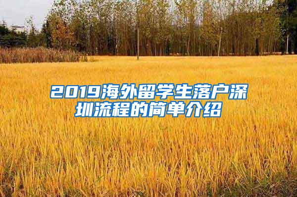 2019海外留学生落户深圳流程的简单介绍