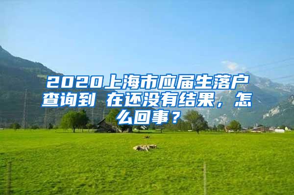 2020上海市应届生落户查询到現在还没有结果，怎么回事？