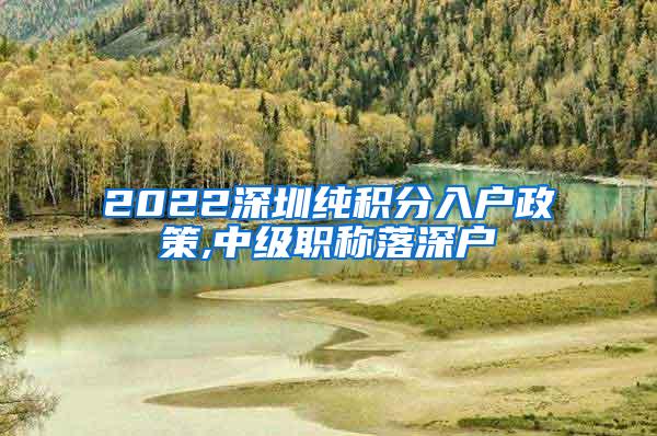 2022深圳纯积分入户政策,中级职称落深户