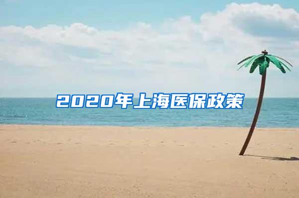 2020年上海医保政策