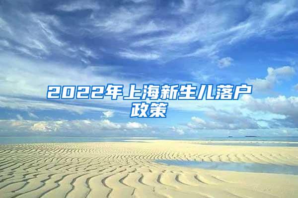 2022年上海新生儿落户政策