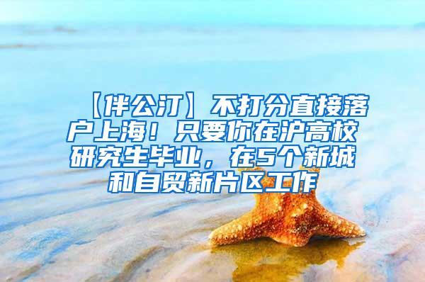 【伴公汀】不打分直接落户上海！只要你在沪高校研究生毕业，在5个新城和自贸新片区工作