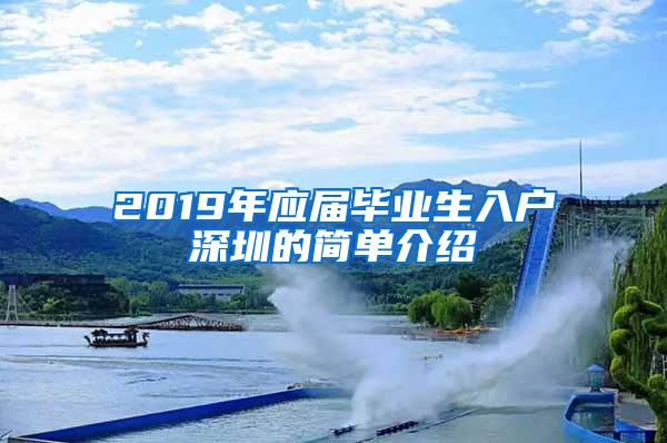 2019年应届毕业生入户深圳的简单介绍