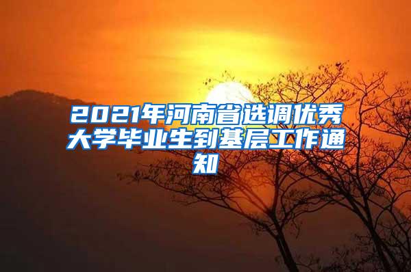 2021年河南省选调优秀大学毕业生到基层工作通知