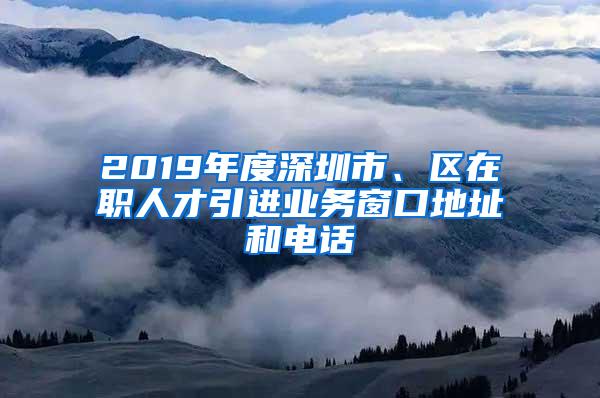 2019年度深圳市、区在职人才引进业务窗口地址和电话