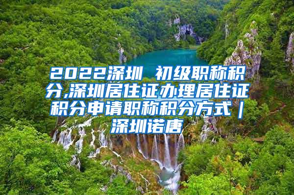 2022深圳 初级职称积分,深圳居住证办理居住证积分申请职称积分方式｜深圳诺唐