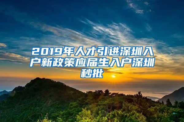 2019年人才引进深圳入户新政策应届生入户深圳秒批