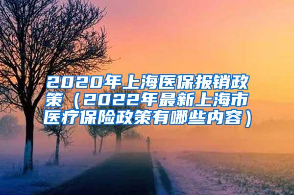 2020年上海医保报销政策（2022年最新上海市医疗保险政策有哪些内容）