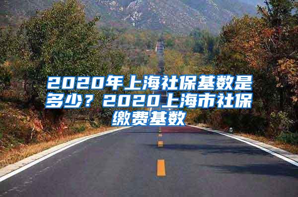 2020年上海社保基数是多少？2020上海市社保缴费基数