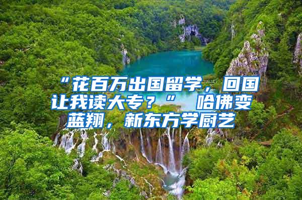 “花百万出国留学，回国让我读大专？” 哈佛变蓝翔，新东方学厨艺