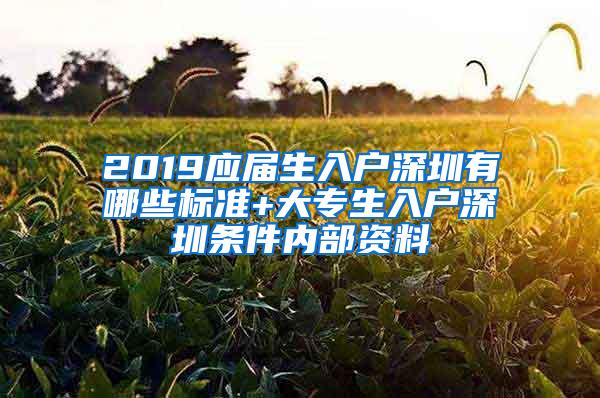 2019应届生入户深圳有哪些标准+大专生入户深圳条件内部资料