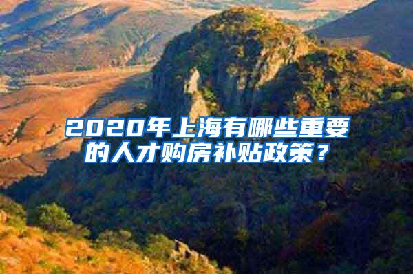 2020年上海有哪些重要的人才购房补贴政策？