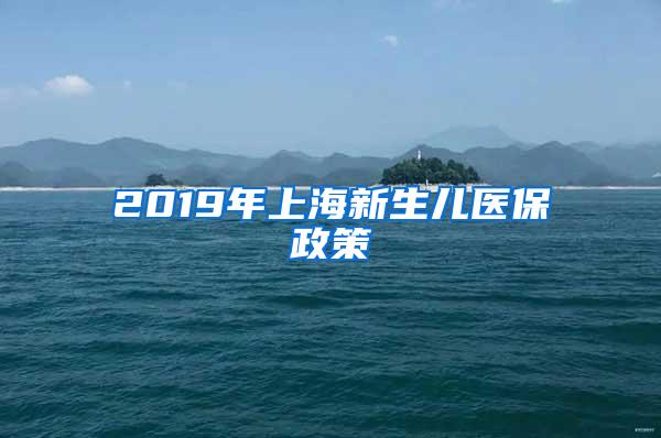 2019年上海新生儿医保政策