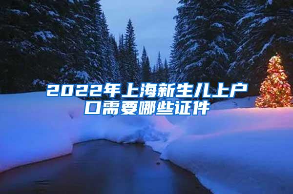 2022年上海新生儿上户口需要哪些证件