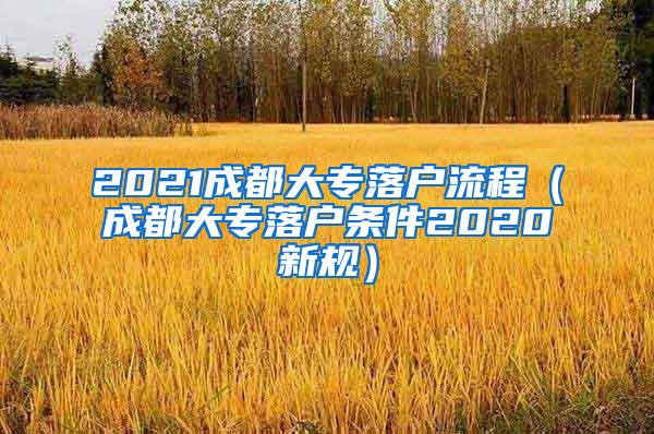 2021成都大专落户流程（成都大专落户条件2020新规）