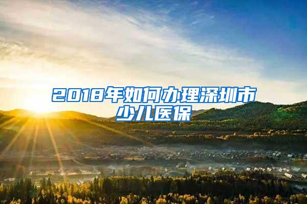 2018年如何办理深圳市少儿医保