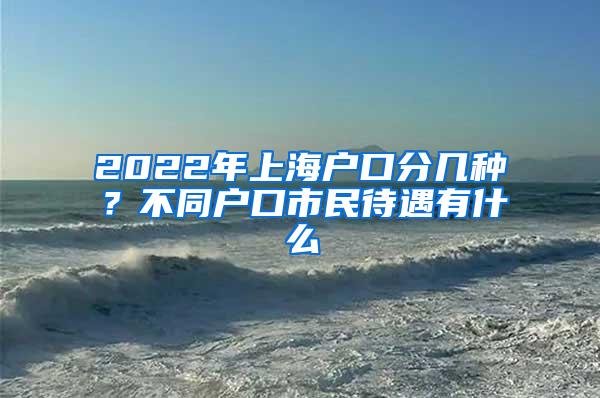 2022年上海户口分几种？不同户口市民待遇有什么