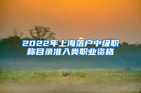 2022年上海落户中级职称目录准入类职业资格