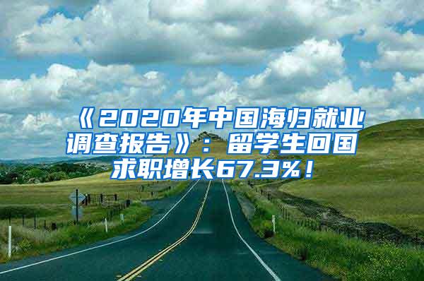 《2020年中国海归就业调查报告》：留学生回国求职增长67.3%！