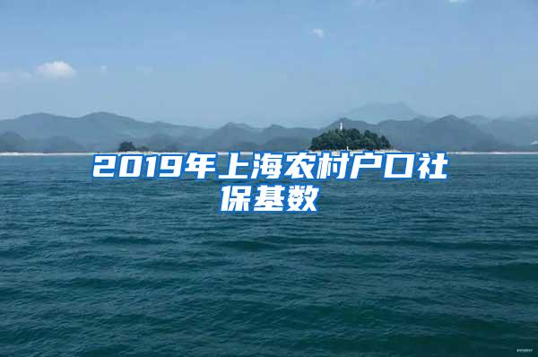 2019年上海农村户口社保基数