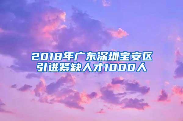 2018年广东深圳宝安区引进紧缺人才1000人