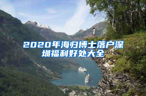 2020年海归博士落户深圳福利好处大全