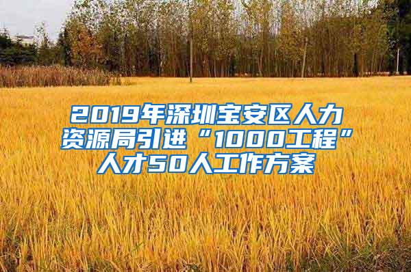 2019年深圳宝安区人力资源局引进“1000工程”人才50人工作方案