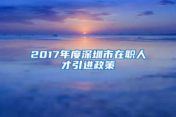 2017年度深圳市在职人才引进政策