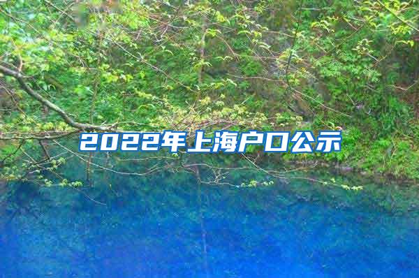 2022年上海户口公示