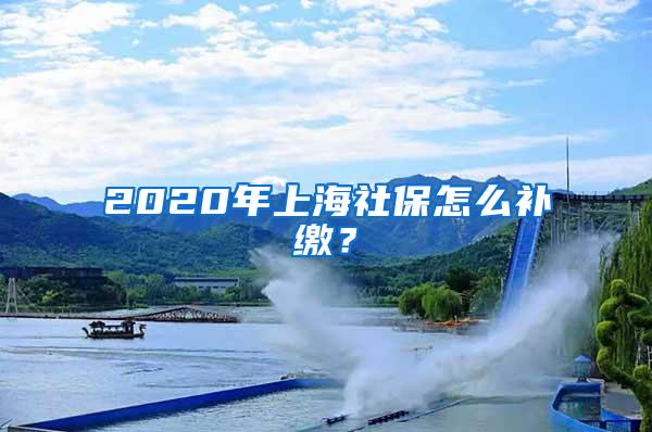 2020年上海社保怎么补缴？