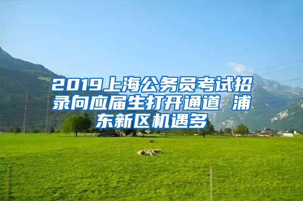 2019上海公务员考试招录向应届生打开通道 浦东新区机遇多