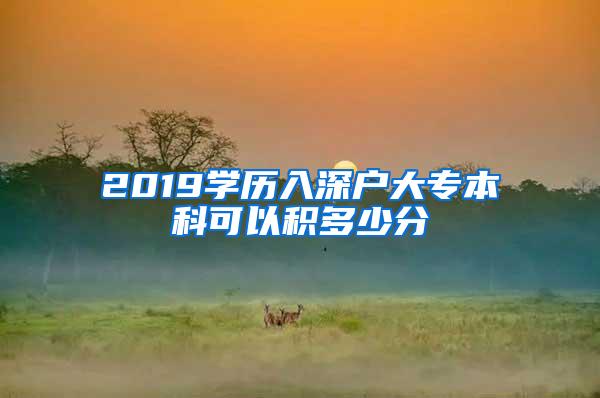 2019学历入深户大专本科可以积多少分