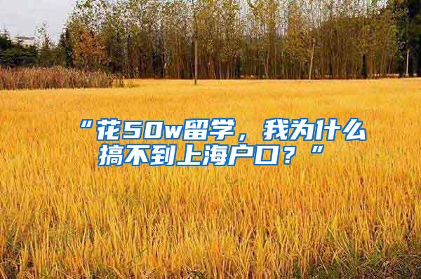 “花50w留学，我为什么搞不到上海户口？”