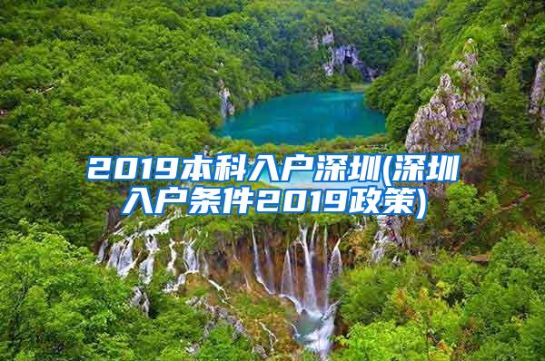 2019本科入户深圳(深圳入户条件2019政策)