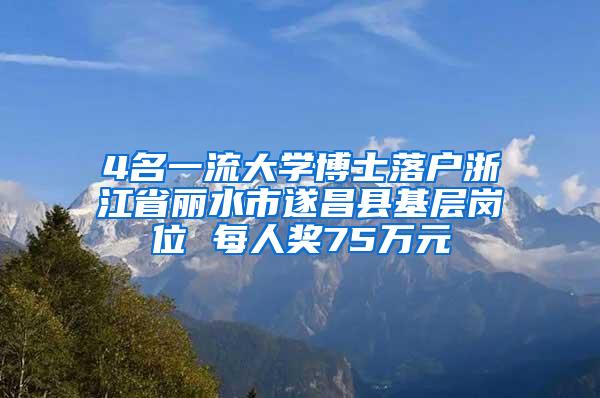 4名一流大学博士落户浙江省丽水市遂昌县基层岗位 每人奖75万元