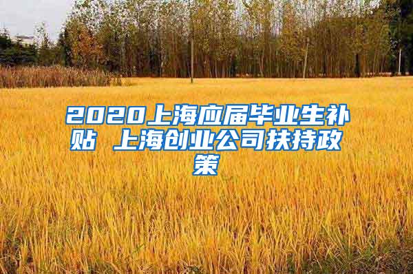 2020上海应届毕业生补贴 上海创业公司扶持政策