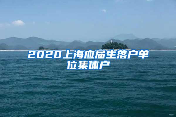 2020上海应届生落户单位集体户