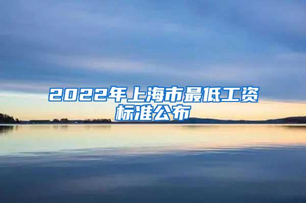 2022年上海市最低工资标准公布