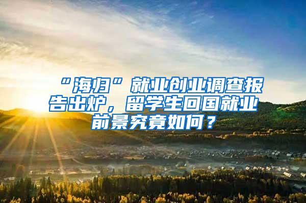 “海归”就业创业调查报告出炉，留学生回国就业前景究竟如何？