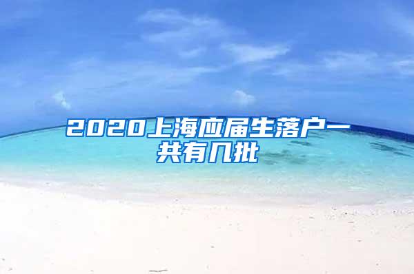 2020上海应届生落户一共有几批